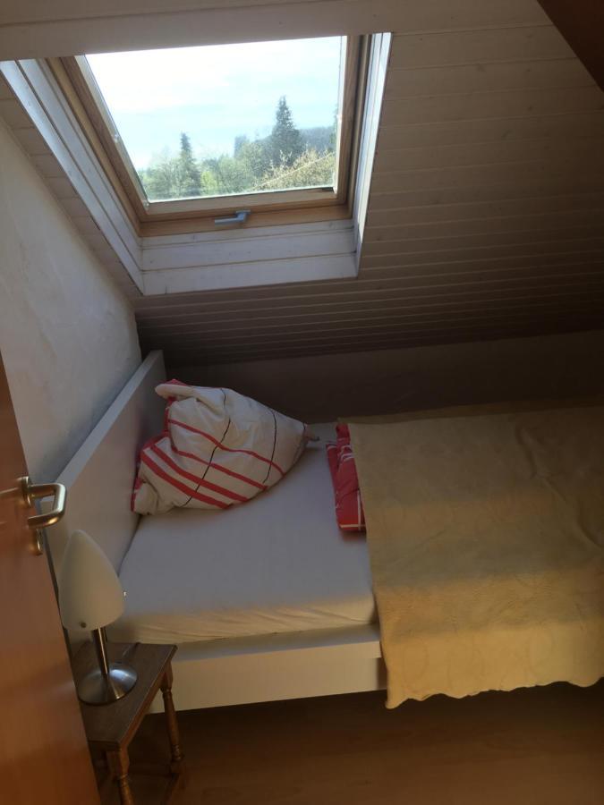 Ferienwohnung Nett アーデナウ エクステリア 写真